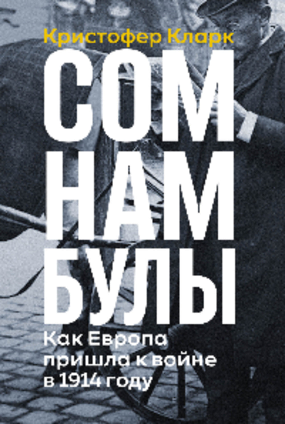 СОМНАМБУЛЫ: Как Европа пришла к войне в 1914 году. Первая мировая в подробностях