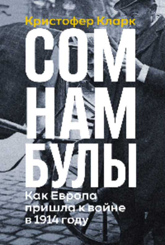 СОМНАМБУЛЫ: Как Европа пришла к войне в 1914 году. Первая мировая в подробностях