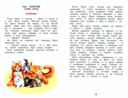 Classe classique - 2 classes avec risques pour les adultes