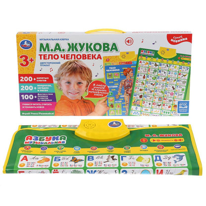 Плакат двусторонний на бат. музыкальная азбука М.Жукова, тело человека в кор. Умка в кор.48шт