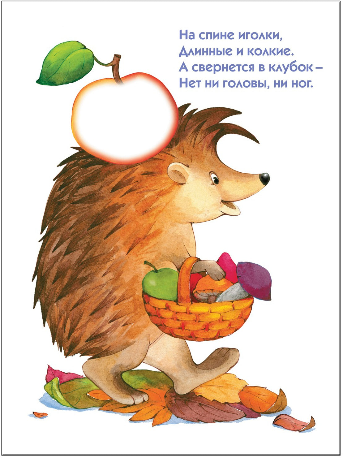 ШСГ Второй год обучения. Кто это, что это?