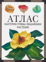 Бактерии, грибы, лишайники, растения : атлас (2-е, стереотипное)