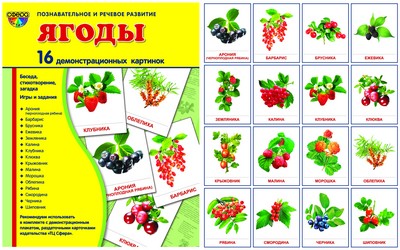 Демонстр. картинки "Ягоды" (173х220мм)