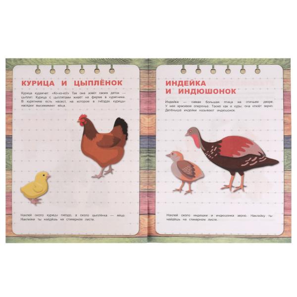 Домашние животные. Первые знания с наклейками. 215х285 mm. Скрепка. 16 pièces. Умка в кор.50шт