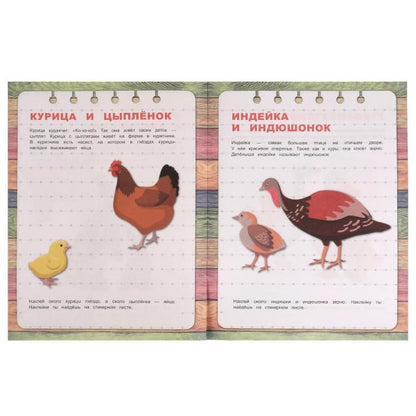 Домашние животные. Первые знания с наклейками. 215х285 mm. Скрепка. 16 pièces. Умка в кор.50шт