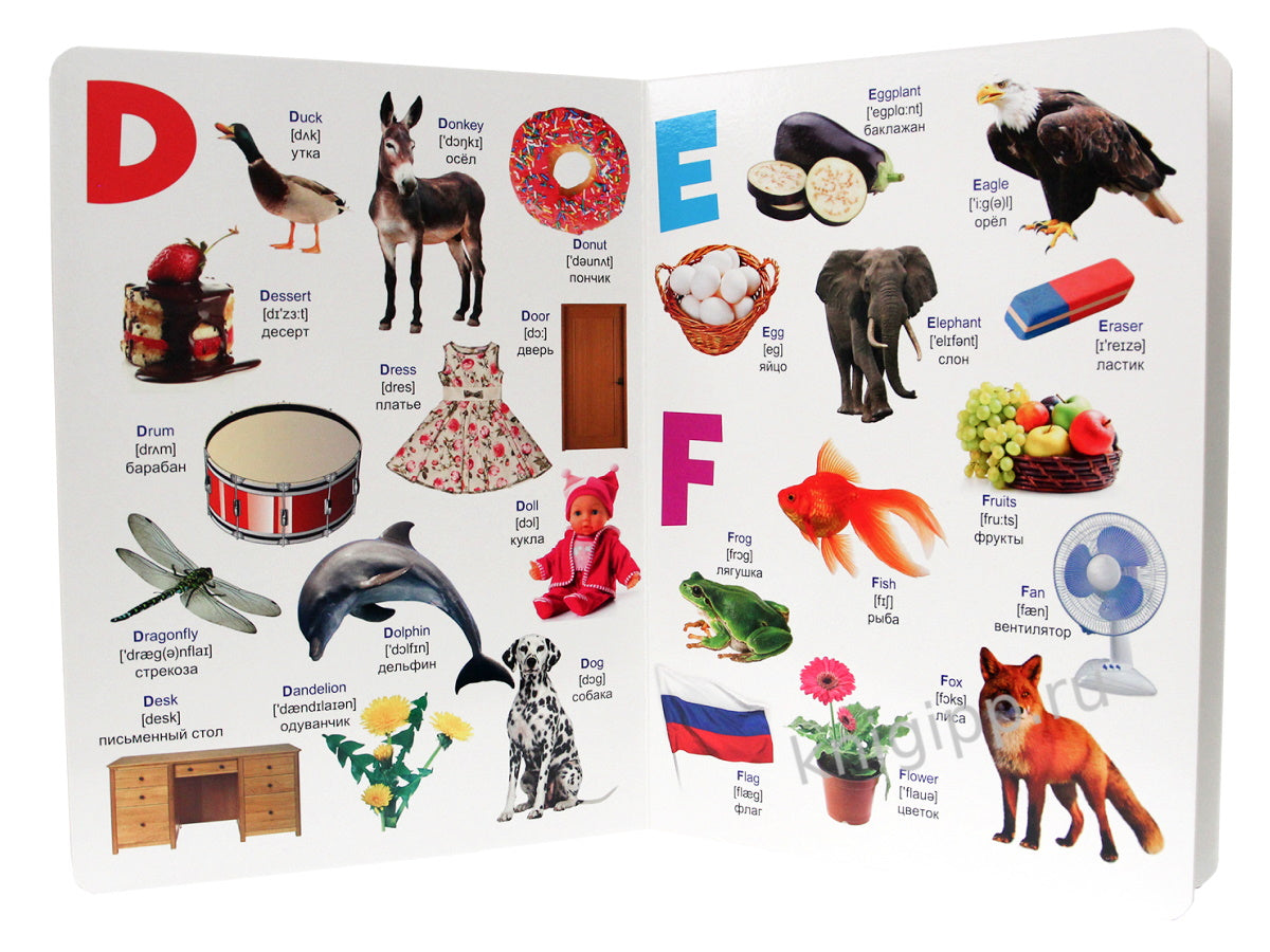 МАКСИ 235х310 7 разворотов книги на CARTONе. Alphavite anglais