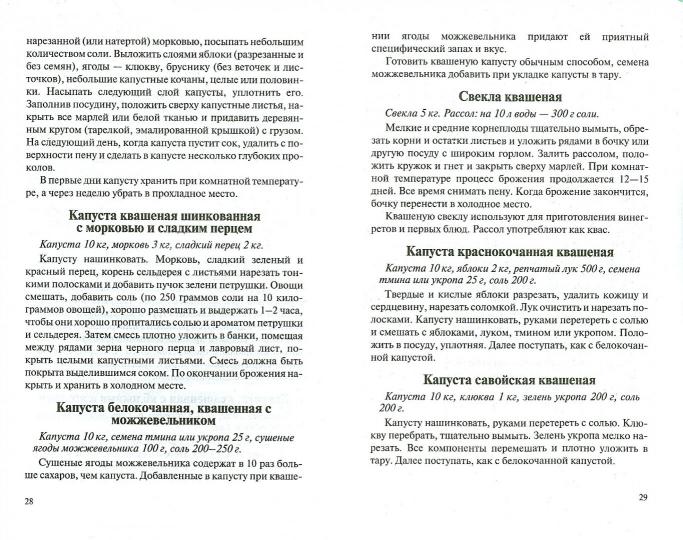 Консервирование forever