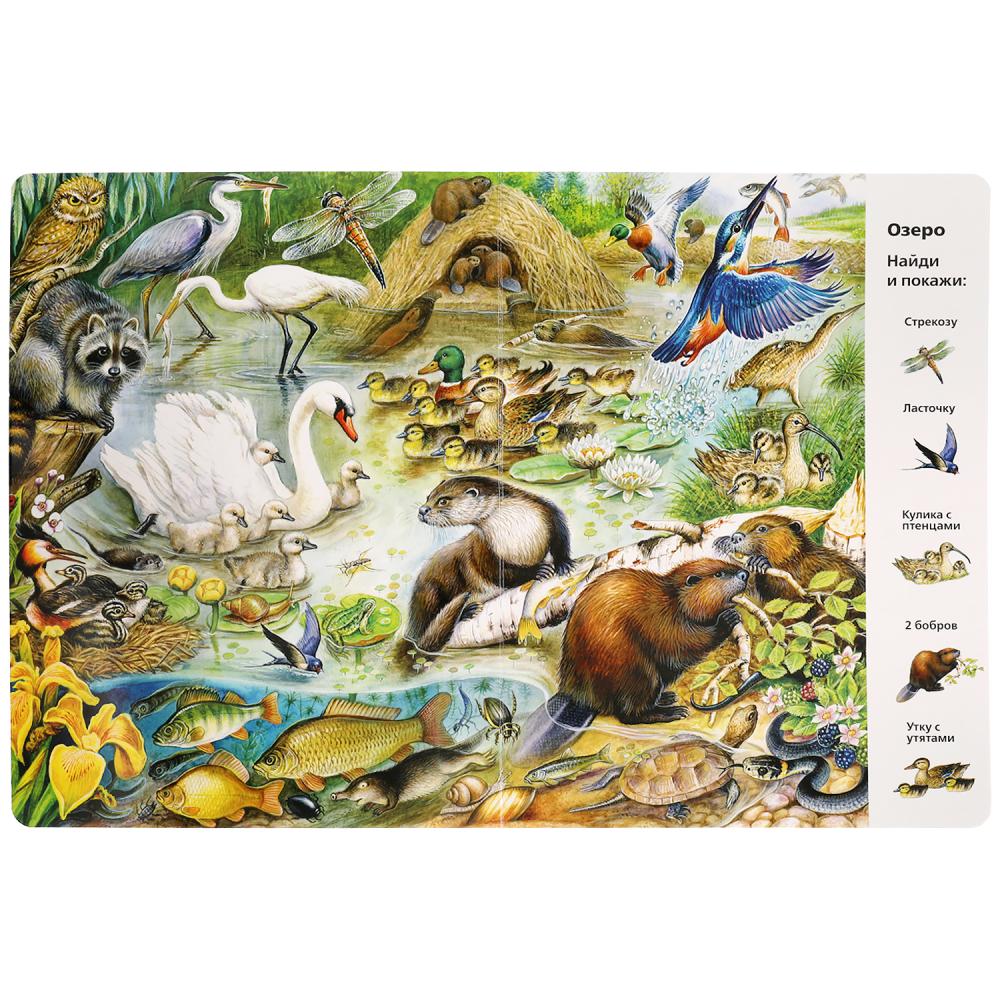 "УМКА". ЖИВОТНЫЕ. НАЙДИ И ПОКАЖИ. ВИММЕЛЬБУХ. А4 ФОРМАТ: 235Х315 ММ. ОБЪЕМ: 12 СТР. в кор.15шт