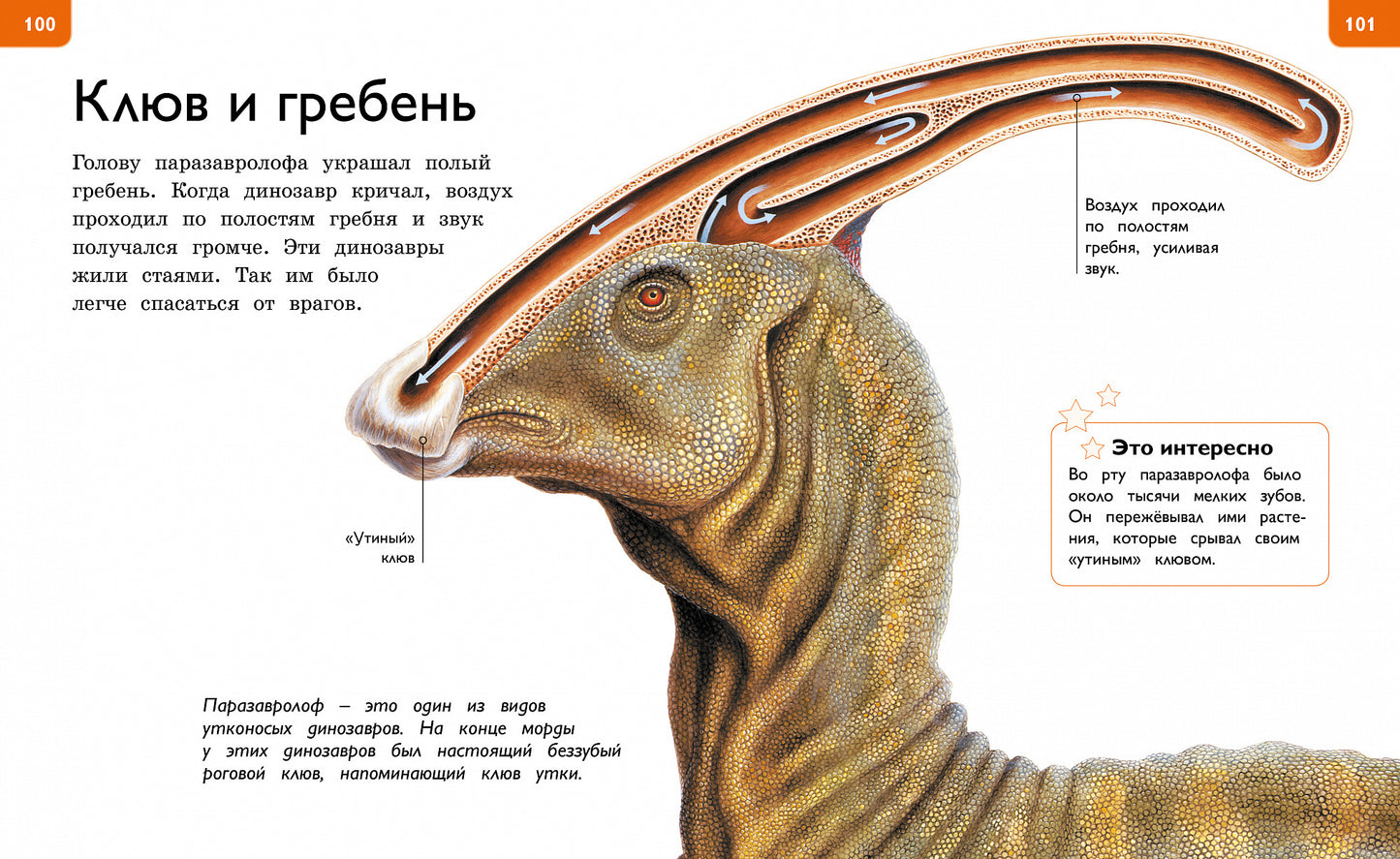 Новая энциклопедия для любознательных