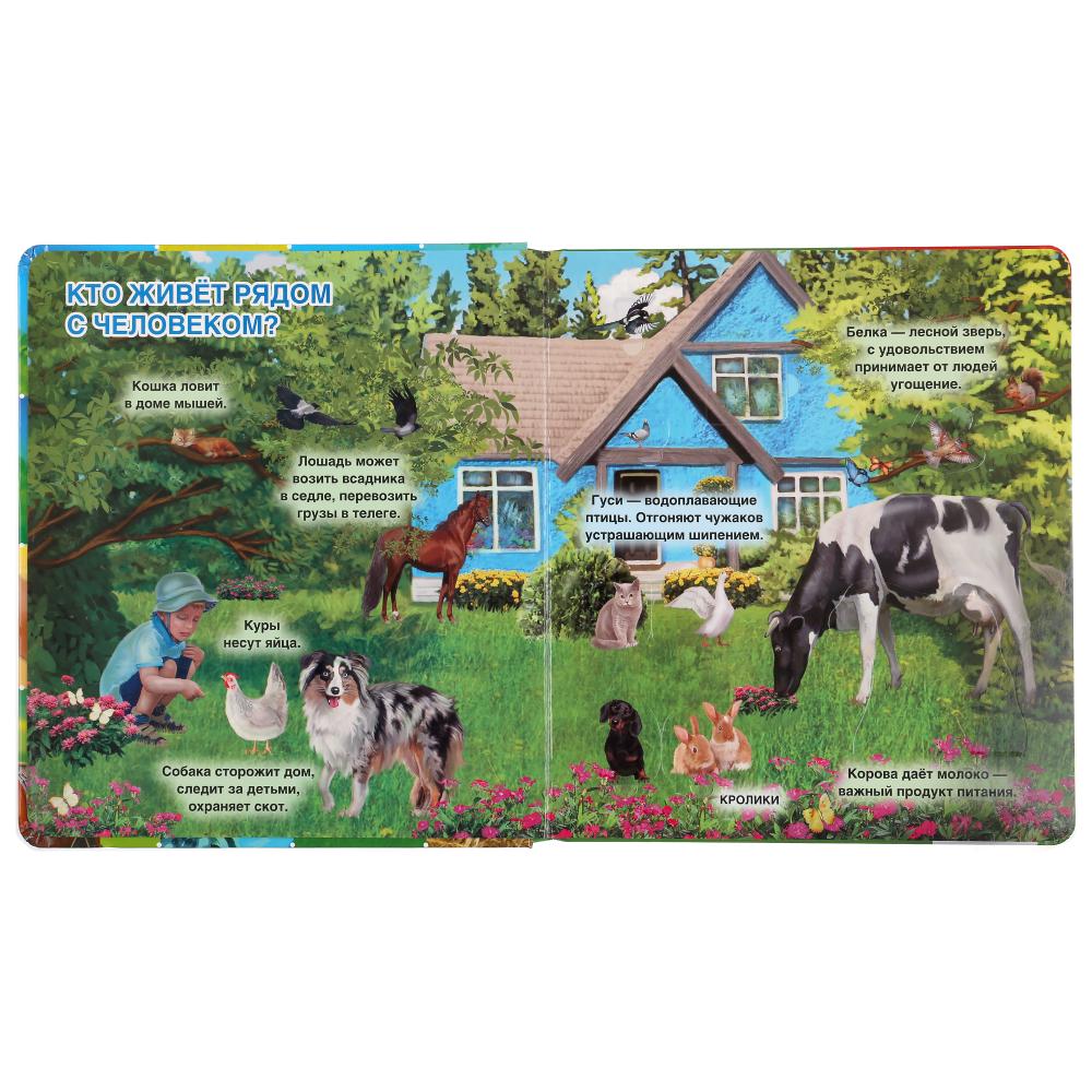 Домашние животные. Энциклопедия 100 окошек. Format: 195x215mm. Contenu : 14 cartes. стр. Умка в кор.10шт