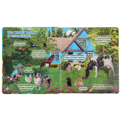 Домашние животные. Энциклопедия 100 окошек. Format: 195x215mm. Contenu : 14 cartes. стр. Умка в кор.10шт