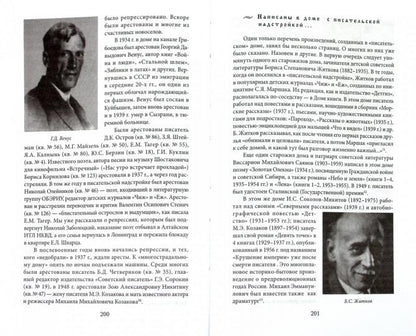 Конюшенная площадь и Малая Конюшенная улица