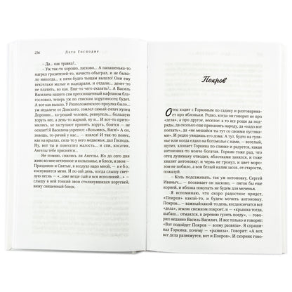 Лето Господне: román