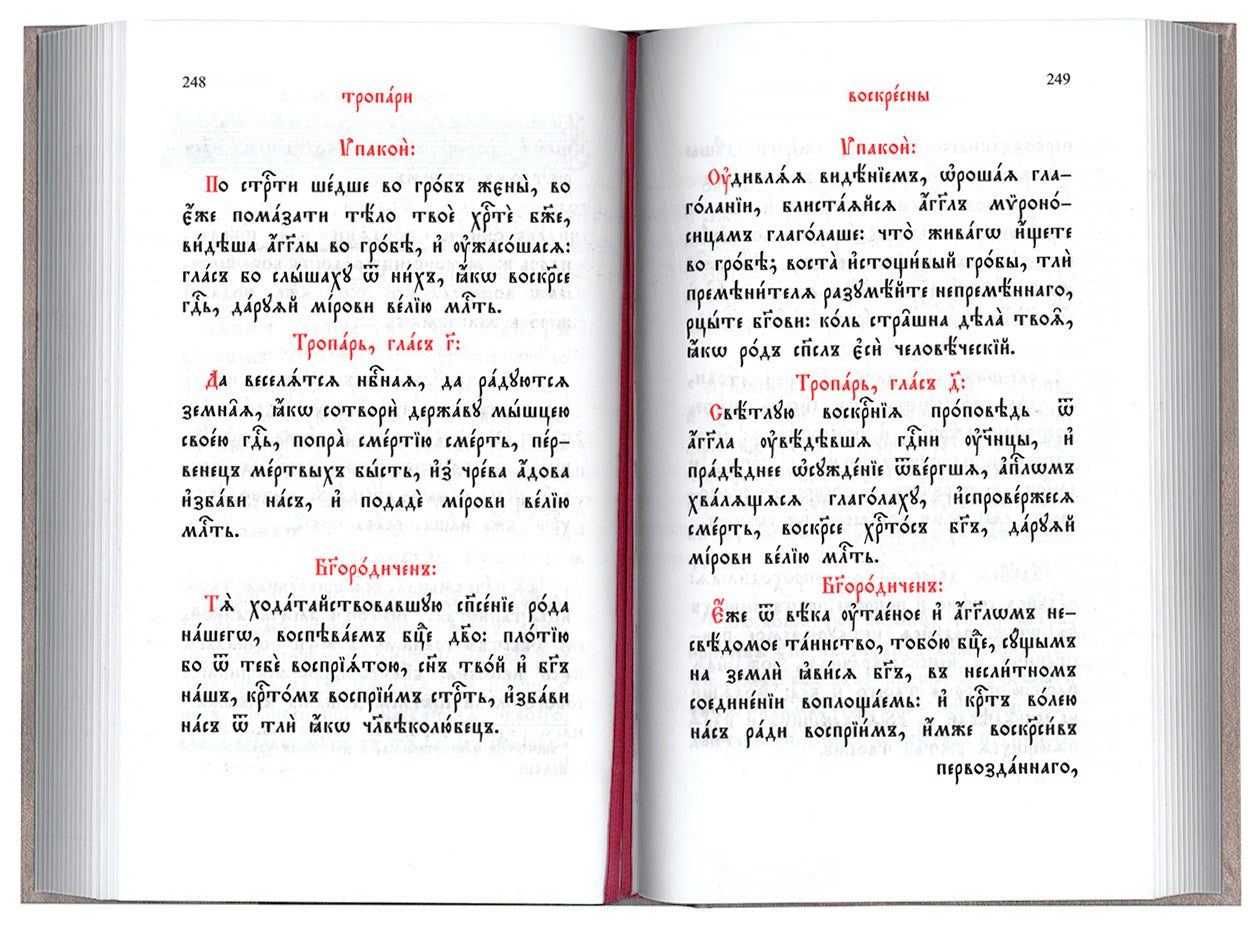 Часослов: на церковно-славянском языке
