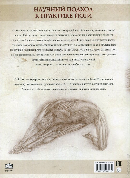 Анатомия асан, раскрывающих бедра, и наклонов вперед