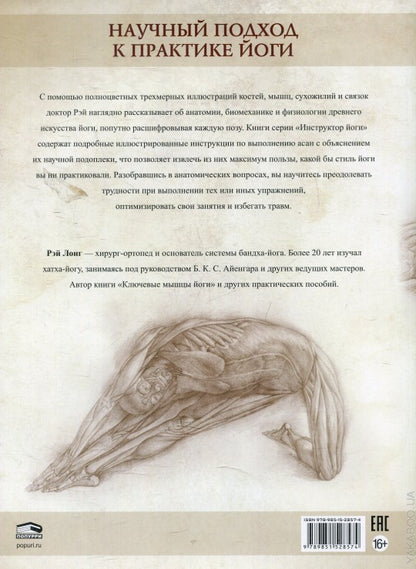 Анатомия асан, раскрывающих бедра, и наклонов вперед