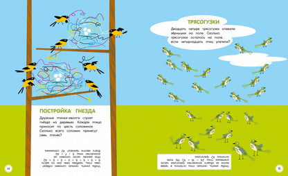 Туканы, синицы и другие птицы. Весёлые задачки