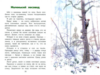 БШ. Пушок /Скребицкий Г. A.