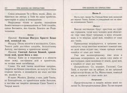 Молитвослов. Молитвы утренние и вечерние. Правило ко Святому Причащению