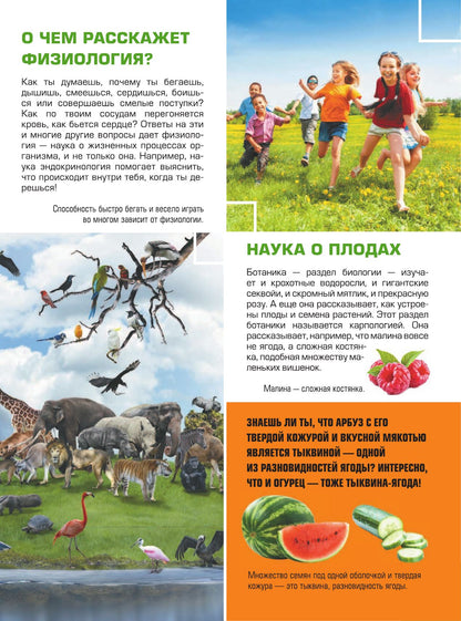 Большая детская 4D энциклопедия с дополненной реальностью