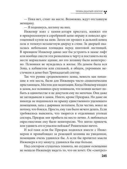 Тринадцатый сектор. Цикл «Андрей Лунев». Кн. 3