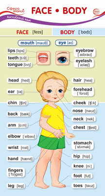 ШМ-15168 Карточка-шпаргалка. Face-Body (Лицо-Тело) (110х205 мм)
