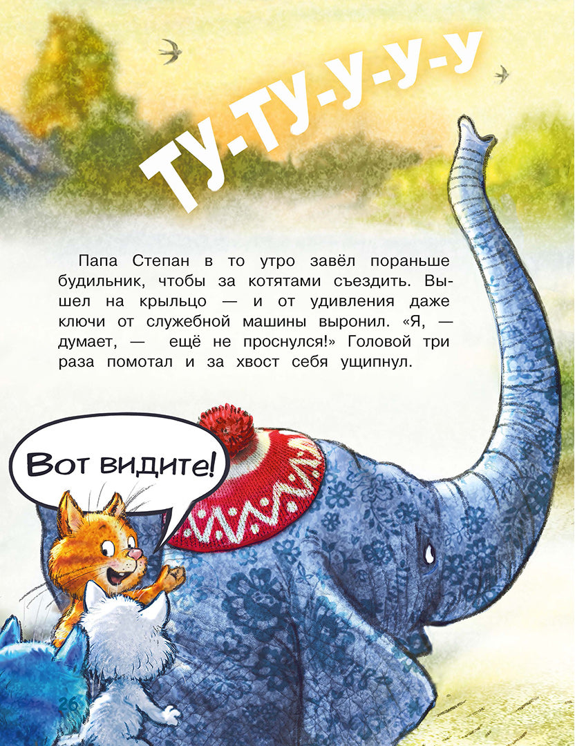 Zenuk. Цирк и не только