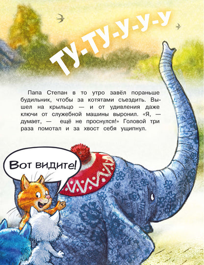 Zenuk. Цирк и не только