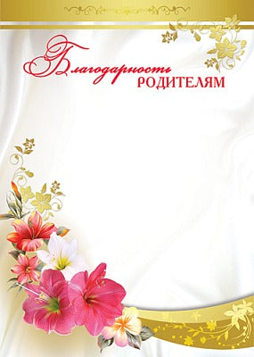 Ш-5531 Благодарность родителям (для принтера)