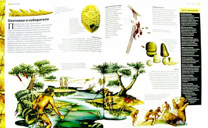 Historique de l'histoire : de la planification de l'installation de la piscine