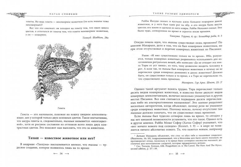 Священные чудовища. Загадочные и мифические существа из Писания, Талмуда и мидрашей