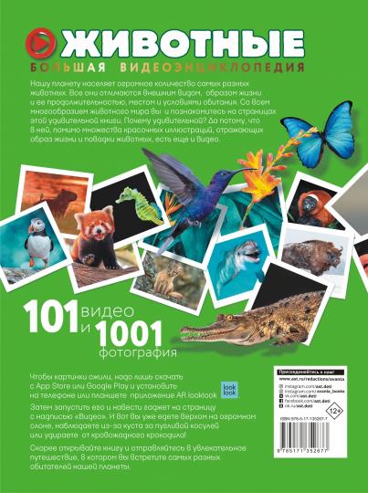 Животные. 101 vidéos et 1001 photos