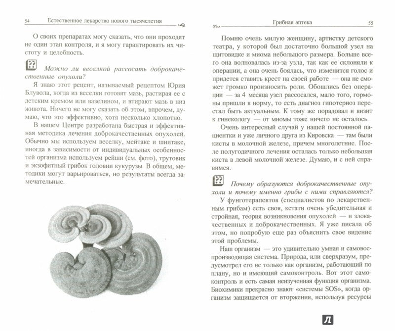 Грибная аптека: Естественное лекарство нового тысячелетия
