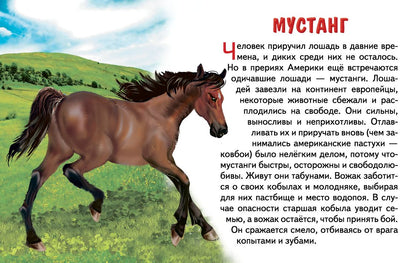 Cartes. Животные Северной Америки ; Cartes. Животные Северной Америки