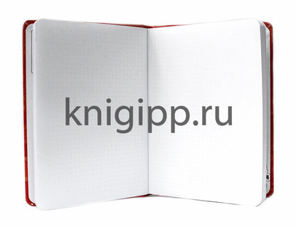 ТОЧКАБУК. НОВОГОДНИЙ АВОКАДО