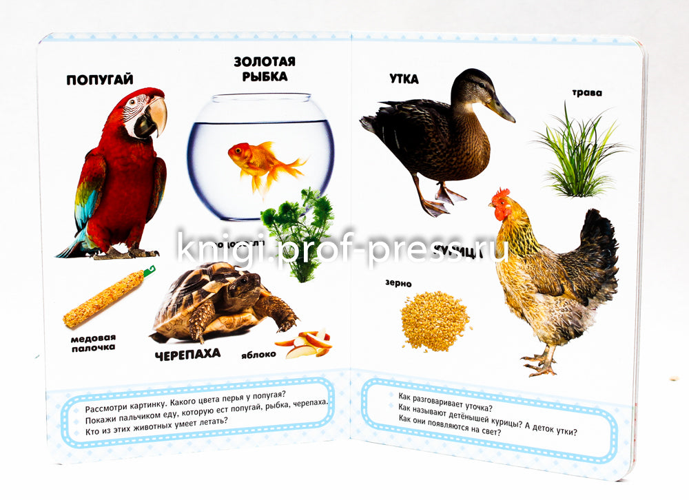 КАРТОНКА 4 разворота. ДОМАШНИЕ ЛЮБИМЦЫ