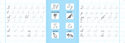 Пишу буквы правильно: прописи с наклейками для дошколят: 5+ дт