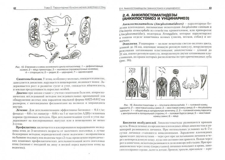 Болезни мелких животных и птиц:учеб.пособие
