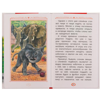Питомцы зоопарка. В. В. Чаплина. Внеклассное чтение. 125х195 мм. 128 стр. 7БЦ. Умка. в кор.12шт