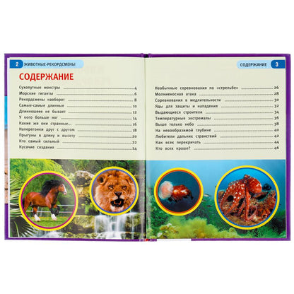 Животные - рекордсмены. 100 фактов. Энциклопедия А5 с развивающими заданиями. 48стр. Умка в кор.22шт