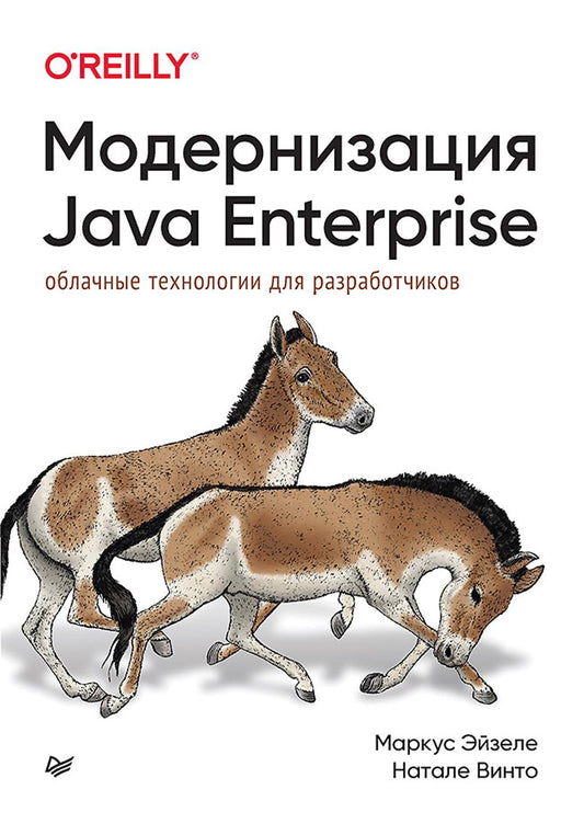 Модернизация Java Enterprise: облачные технологии для разработчиков