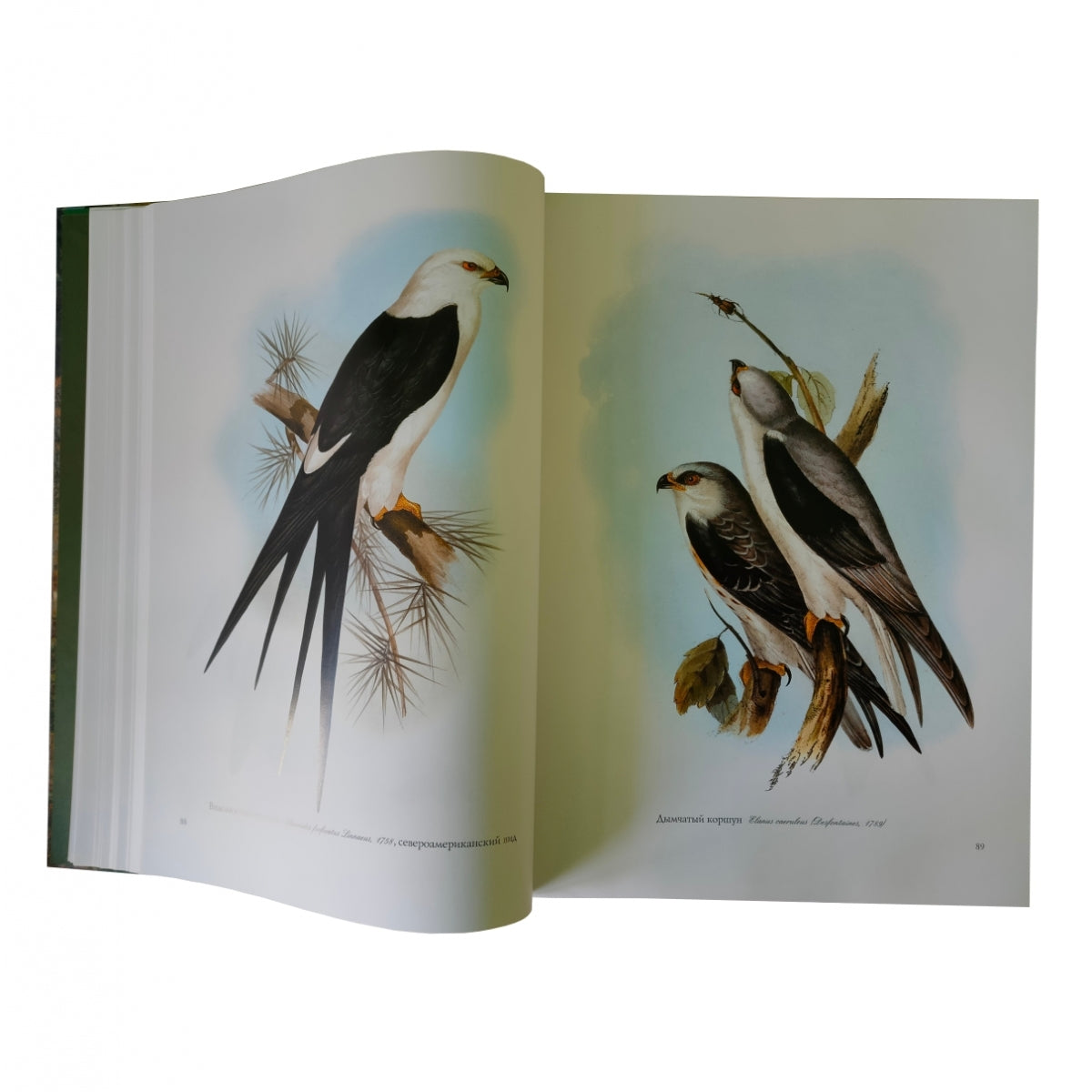 Птицы Европы