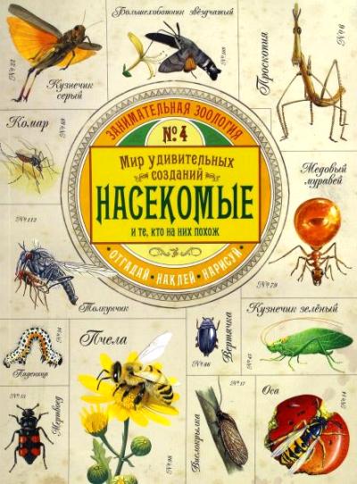 Насекомые. Мир удивительных созданий