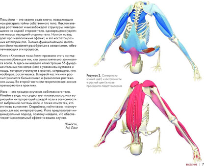 Clés pour les joueurs