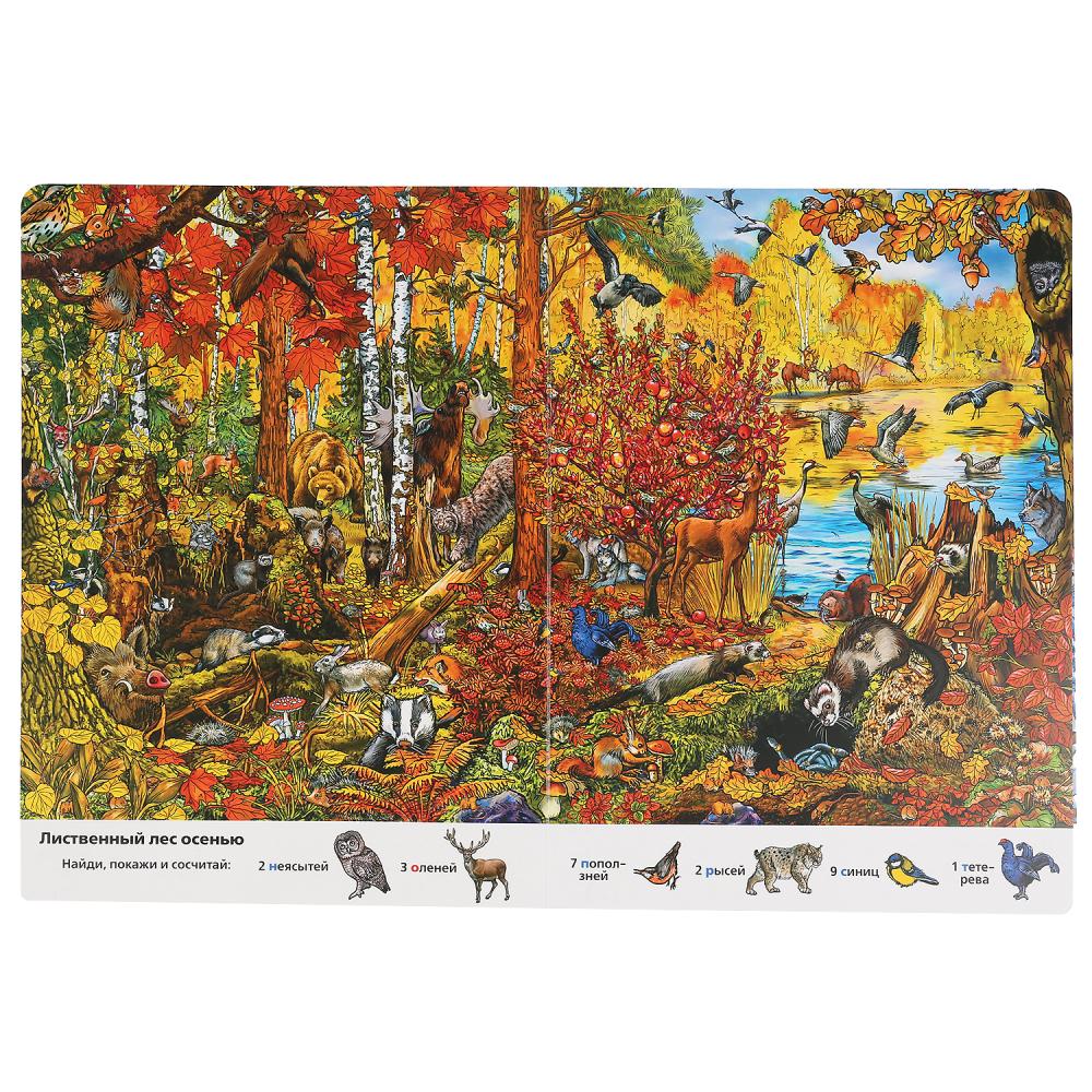 "УМКА". ВРЕМЕНА ГОДА. НАЙДИ И ПОКАЖИ. ВИММЕЛЬБУХ. А4 ФОРМАТ: 235Х315 ММ. ОБЪЕМ: 12 СТР. в кор.20шт