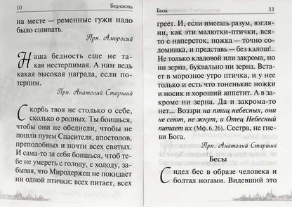 Спасай себя, да и будет с тебя. Изречения Оптинских старцев