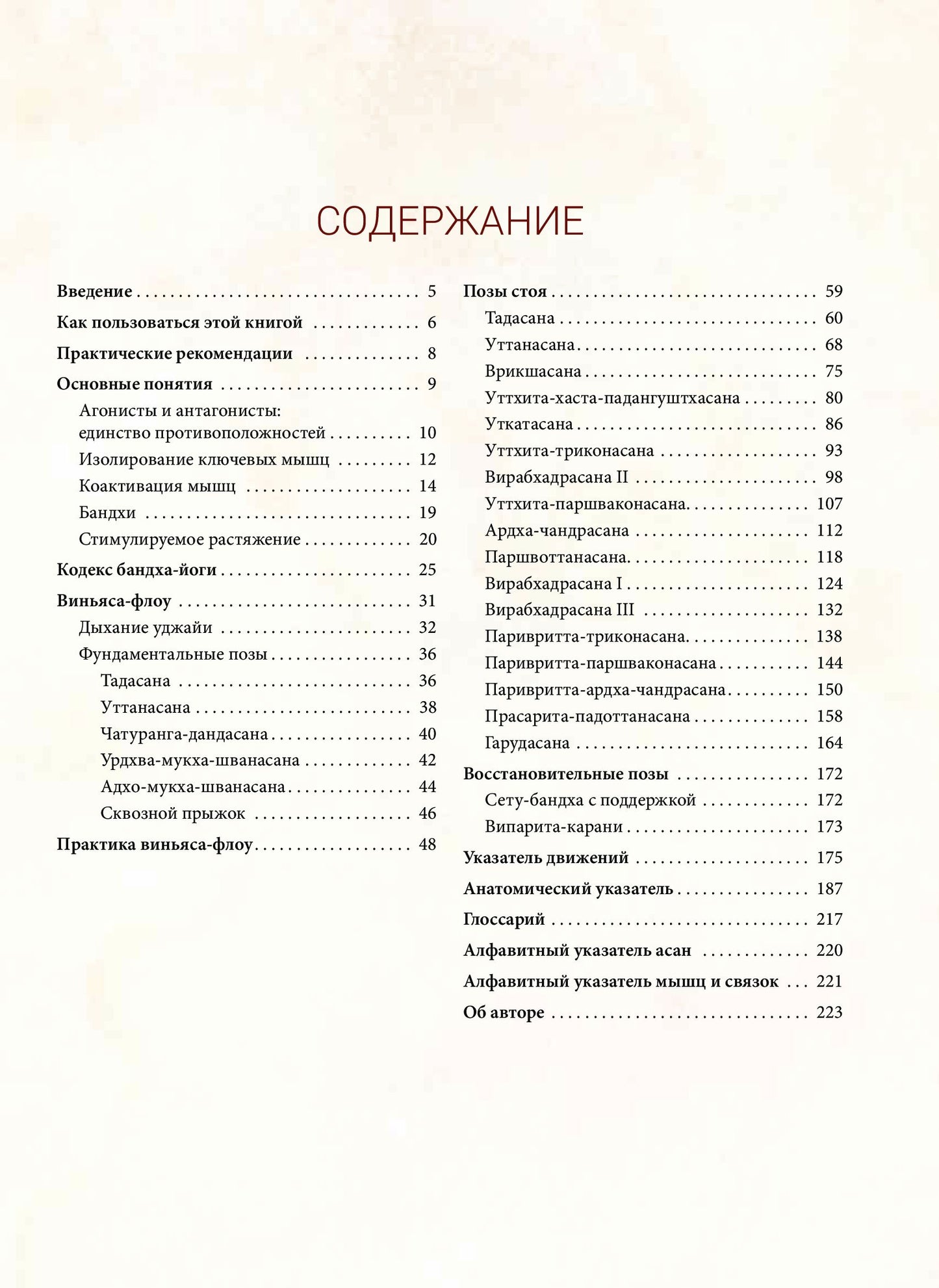 Анатомия виньяса-флоу и асан, выполняемых стоя