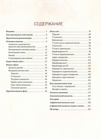 Анатомия виньяса-флоу и асан, выполняемых стоя