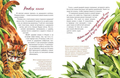 Животные-малютки. Qu'en est-il de nos hommes?