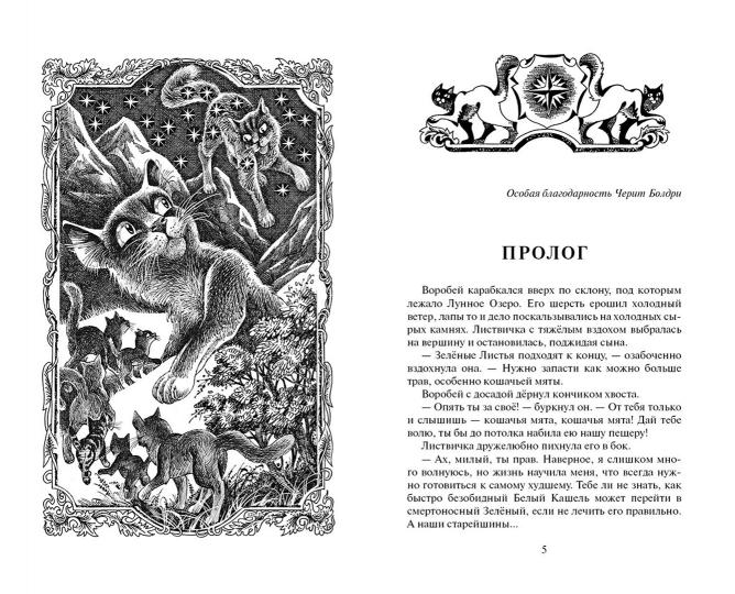 Коты-воители. Prise d'Olholapa